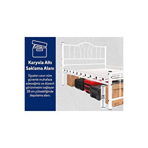 Dzgn Home Bella Çi̇ft Ki̇şi̇li̇k Ferforje Metal Karyola - Si̇yah - 150 x 200 cm
