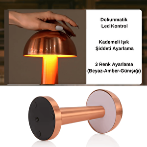 Sakarya Dokunmatik Şarjlı Dekoratif Led Masa Lambası
