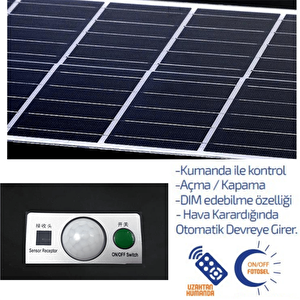 200watt Güneş Enerjili Solar Çiçek Sokak Armatürü (3 Metre Direkli)