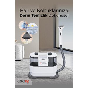 Cx-002b Koltuk Ve Halı Yıkama Makinesi Cam Temizleme Leke Çıkartma Makinesi
