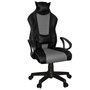 Asos Oyuncu Koltuğu Gri