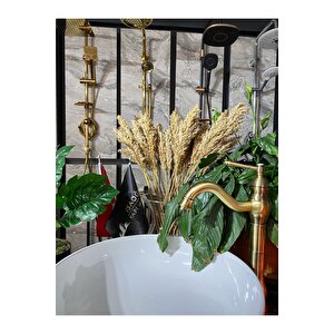 Antik Gold Polina Çanak Lavabo Bataryası
