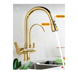 Gold Spiralli Mutfak Bataryası Spiralli Arıtıcılı Evye Armatür Tazzik Ve Spreyleme Mod