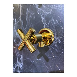 Premium Parlak Gold Taharet Musluğu
