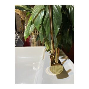 Gold Arıtma Musluğu Altın Arıtma Bataryası Pirinç Malzeme Gold Arıtıcılı Musluk