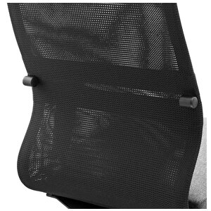 Ergolife Synchrosit 8 Ergonomik Fileli Ofis Koltuğu / Çalışma Sandalyesi - 297.d.1.2f3 Açık Gri-siyah