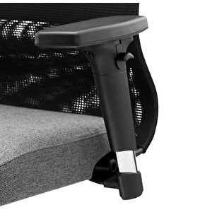 Ergolife Synchrosit 8 Ergonomik Fileli Ofis Koltuğu / Çalışma Sandalyesi - 297.d.1.2f3 Açık Gri-siyah