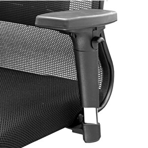 Ergolife Sit 10 Ergonomik Fileli Yönetici Koltuğu / Ofis Sandalyesi  - 13e.d.1.2a2 Siyah