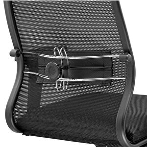 Ergolife Sit 10 Ergonomik Fileli Yönetici Koltuğu / Ofis Sandalyesi  - 13e.d.1.2a2 Siyah