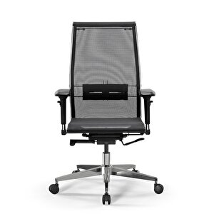 Ergolife Synchrosit 10 Ergonomik Fileli Ofis Koltuğu / Çalışma Sandalyesi - 1fc.3.1.544 Siyah