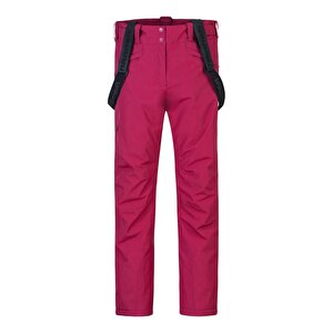Hannah Awake Ii Kadın Kayak, Snowboard Pantolonu Anemone 40