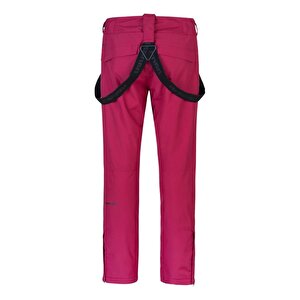 Hannah Awake Ii Kadın Kayak, Snowboard Pantolonu Anemone 40