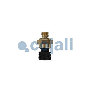 Turbo Basinç Sensörü Daf Euro 5/6 2126981