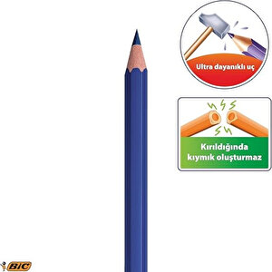 | Evolution Kuru Boya Kalemi Seti, 12+1 Renk, Metal Tüp, Dayanıklı Ve Canlı Renkler