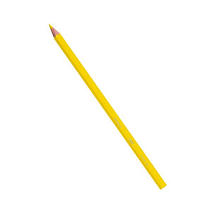 Bic | Evolution Kuru Boya Kalemi Seti, 36 Renk, Metal Tüp, Dayanıklı Ve Canlı Renkler