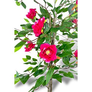 Yapay Ağaç Fuşya Nilüfer Ağacı 90cm