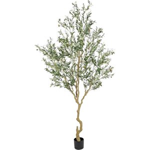 Yapay Zeytin Ağacı Lüx 240cm Doğal Gövdeli Gerçek Görünümlü Yapay Ağaç