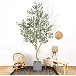 Yapay Zeytin Ağacı Lüx 240cm Doğal Gövdeli Gerçek Görünümlü Yapay Ağaç
