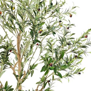 Yapay Zeytin Ağacı Lüx 240cm Doğal Gövdeli Gerçek Görünümlü Yapay Ağaç