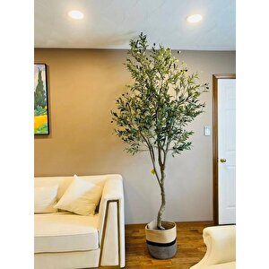 Yapay Zeytin Ağacı Lüx 240cm Doğal Gövdeli Gerçek Görünümlü Yapay Ağaç