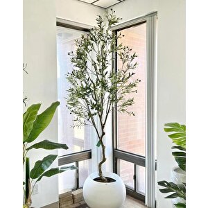 Yapay Zeytin Ağacı Lüx 240cm Doğal Gövdeli Gerçek Görünümlü Yapay Ağaç