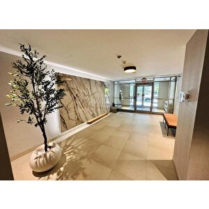 Yapay Zeytin Ağacı Lüx 240cm Doğal Gövdeli Gerçek Görünümlü Yapay Ağaç