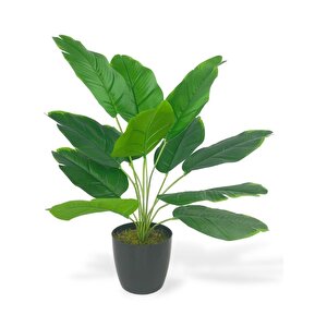 Yapay Çiçek Saksıda Yeşil Muz Yapraklı 12dal 50cm Salon Çiçeği Yapay Bitki