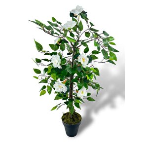 Yapay Ağaç Beyaz Nilüfer Ağacı 90cm