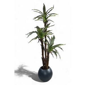 Yapay Ağaç Lüx Yukka Fiber Antrasit Küre Saksıda 3katlı 150*60cm Ofis Çiçeği