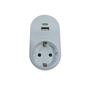 Tekli Golyat Usb + Typec Adaptör 3.4a