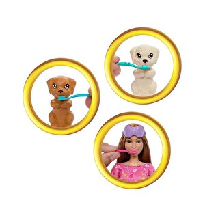 Barbie Ve Köpekçikleri Pijama Partisi Hxn01