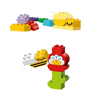 Duplo Yaratıcı Bahçe Ve Çiçekler 10444