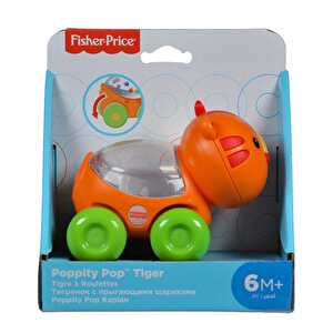 Fisher Price Poppity Araçlar Kaplan Cmv97