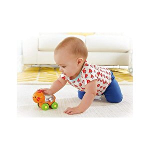 Fisher Price Poppity Araçlar Kaplan Cmv97