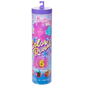 Barbie Color Reveal Renk Değiştiren Disco Star Serisi Sürpriz Paket Jcp01