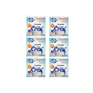 6 Adet 2x250 Gr Nem Alıcı Rutubet Giderici Yedek Tablet Lavanta