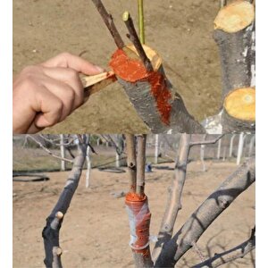 Pro-max Aşı Ve Budama Macunu 500 G