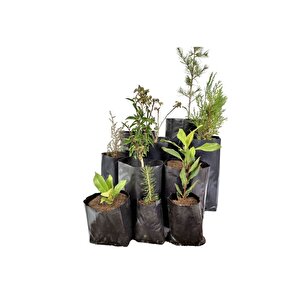 Fidan Poşeti 25x35 Fide Torbası 1 Kg