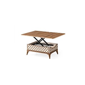 Vezir 5 Kademeli Çekmeceli Akıllı Sihirli Orta Sehpa 60x90