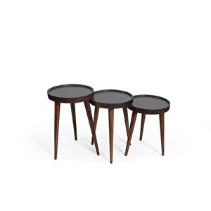 Polen Zigon Sehpa 2501