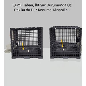 Bıldırcın, Keklik, Yarka Kafesi Ekox1