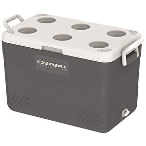 Icepeak Coolcraft 46 Buzluk 41.6 Litre-füme