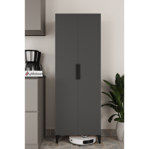 2 Kapaklı Winter  Boy Dolabı , Çok Amaçlı Dolap , Kiler Dolabı, Banyo Dolabı, Mutfak Dolabı Antrasit Antrasit