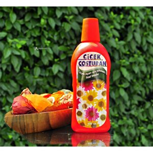 Çiçek Coşturan Çiçek Açan Süs Bitkileri İçin