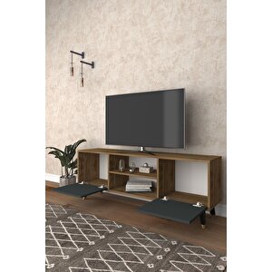 Mobilya 138 Cm Tv Ünitesi Çam-antrasit