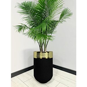 Elegant Dekoratif Gold Darbuka Siyah Saksı 60cm