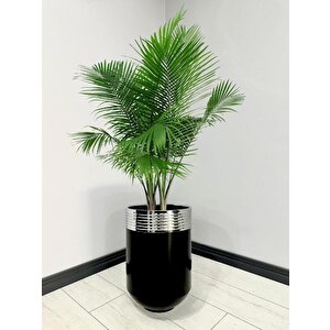 Elegant Dekoratif Krom Darbuka Parlak Siyah Saksı 60cm
