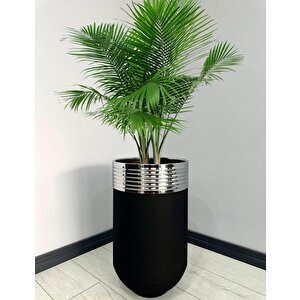 Elegant Dekoratif Krom Darbuka Siyah Saksı 70cm