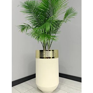Elegant Dekoratif Gold Darbuka Krem Saksı 60cm