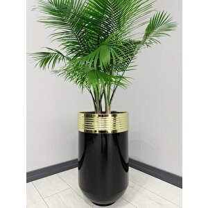 Elegant Dekoratif Gold Darbuka Parlak Siyah Saksı 60cm